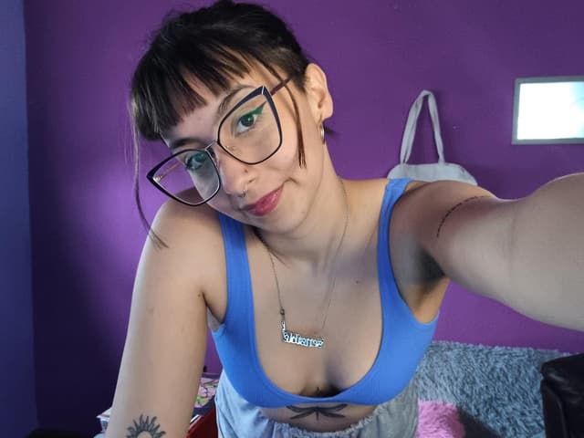 WebCAM de Delfiina